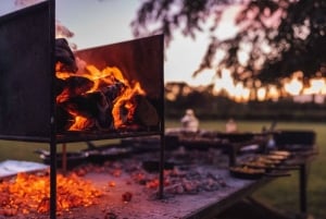 Tour de Bodegas en Lujan de Cuyo: Chandon, Bonfanti, Kuro