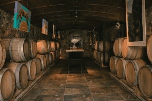 Tour de Bodegas en Mendoza: Casa Vigil, Vistandes y 1870 Esencia.