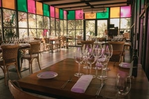 Tour de Bodegas en Mendoza: Casa Vigil, Vistandes y 1870 Esencia.