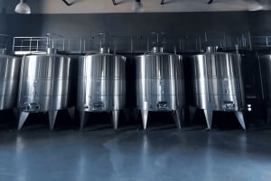 Tour de Bodegas en Mendoza: Casa Vigil, Vistandes y 1870 Esencia.