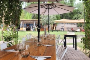 Tour de Bodegas en Mendoza: Casa Vigil, Vistandes y 1870 Esencia.