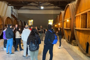 Tour della cantina con pranzo creolo di 4 portate presso la cantina. Tutto incluso!