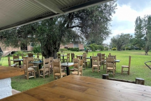 Tour della cantina con pranzo creolo di 4 portate presso la cantina. Tutto incluso!