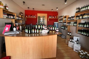 Winery tour with lunch in Maipu