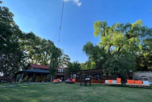 Tour pelas adegas com almoço em Maipu