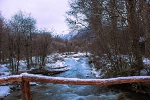 VINTER Ushuaia: Hvid oplevelse