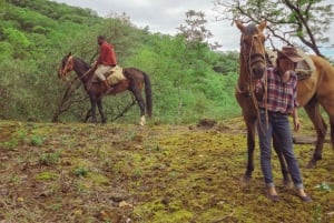Yungas : full day with gauchos