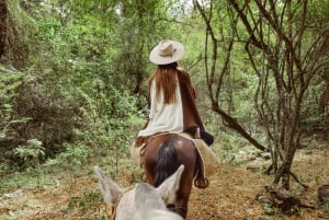 Yungas : horseback riding in the jungle + picnic