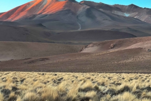 Zapaleri, un vulcano con tre confini