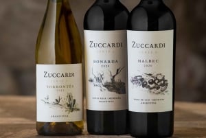 Almuerzo maridado completo Zuccardi en Piedra Infinita en el Valle de Uco