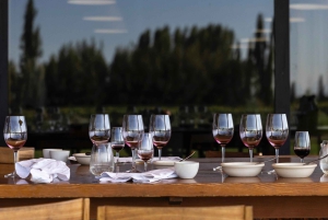 Полный парный обед Zuccardi в ресторане Piedra Infinita в долине Уко