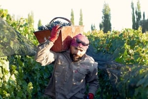 El Legado Zuccardi: Un viaje por lo mejor del Valle de Uco