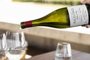 Zuccardi erfenis: Een reis door het beste van de Uco-vallei