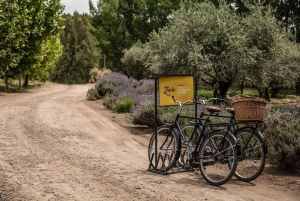 Excursión en Bicicleta por la Fábrica de Aceite de Oliva Zuccardi + Degustación de Vino + Almuerzo