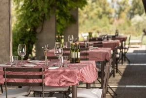 Excursión en Bicicleta por la Fábrica de Aceite de Oliva Zuccardi + Degustación de Vino + Almuerzo