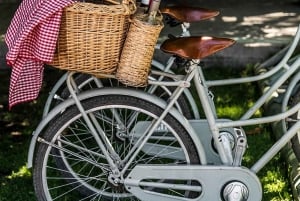 Excursión en Bicicleta por la Fábrica de Aceite de Oliva Zuccardi + Degustación de Vino + Almuerzo