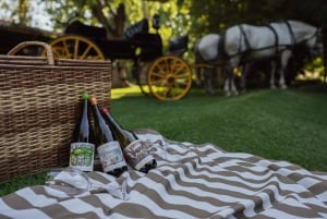 Excursión en Bicicleta por la Fábrica de Aceite de Oliva Zuccardi + Degustación de Vino + Almuerzo