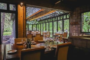 Zuccardi´s Santa Julia Pyöräretki + Viininmaistelu + Täysi lounas