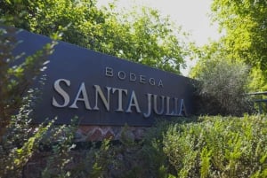 Zuccardi´s Santa Julia Pyöräretki + Viininmaistelu + Täysi lounas