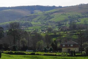 5-дневный индивидуальный тур по Северной Испании (из Бильбао или Сантьяго)