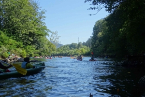 Arriondas: Descenso de Aventura en Canoa por el Río Sella