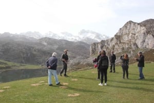 Arriondas: tour guidato dei laghi di Covadonga