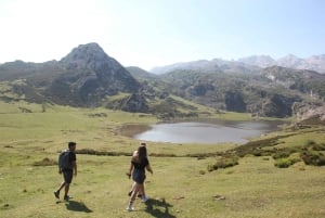 Arriondas: tour guidato dei laghi di Covadonga