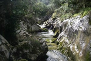 Asturias: Canyoning Adventure with 4 Levels to Choose From