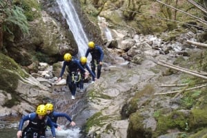 Asturias: Canyoning Adventure with 4 Levels to Choose From