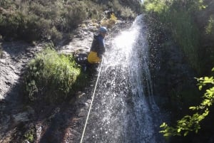 Asturias: Canyoning Adventure with 4 Levels to Choose From