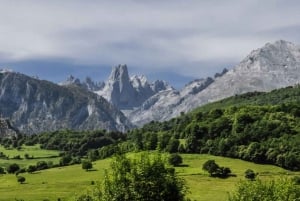 Asturias: Climbing tour to Picu Urriellu in the Picos de Europa