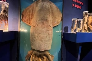 アストゥリアス海岸 クディジェロとカテドラル・ビーチ