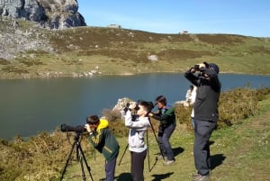 Cangas de Onís: Covadongas søer med rundvisning