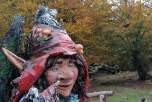 Cangas de Onís: Ruta en Bosque de Vegabaño con comida en refugio de montaña