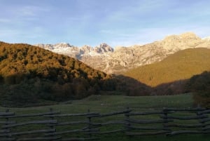 Cangas de Onís: Ruta en Bosque de Vegabaño con comida en refugio de montaña