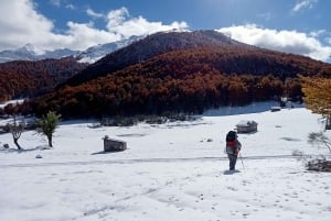 Cangas de Onís: Ruta en Bosque de Vegabaño con comida en refugio de montaña