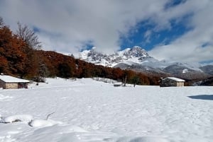 Cangas de Onís: Ruta en Bosque de Vegabaño con comida en refugio de montaña