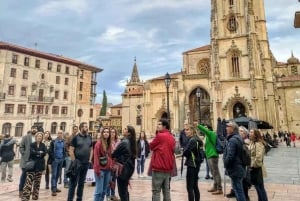Tour privado por Oviedo