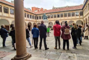 Tour privado por Oviedo