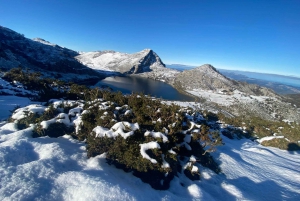 Tour privado de Oviedo a Covadonga y los Lagos de los Picos de Europa