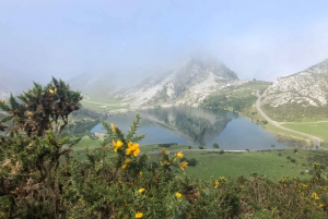 Tour privado de Oviedo a Covadonga y los Lagos de los Picos de Europa