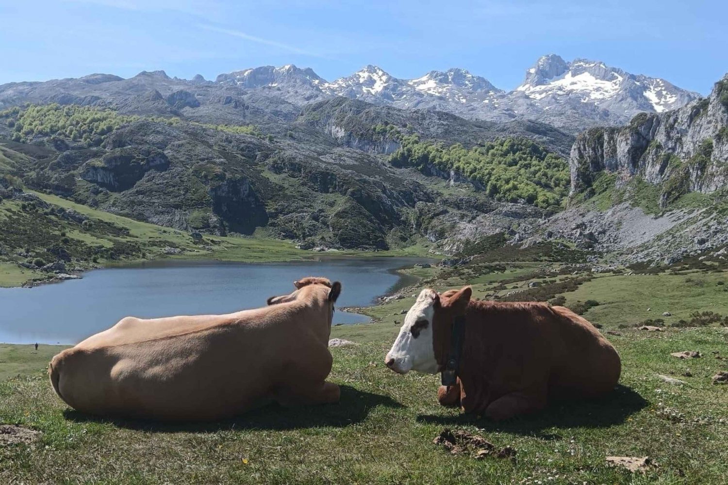 Covadonga e Cascos Históricos Cangas de Onís e Lastres