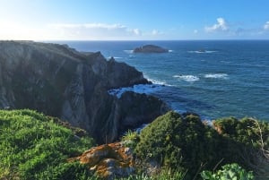 Экскурсия в Кудильеро, Авилес и Фаро-де-Кабо-Пеньяс из Овьедо