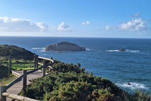 Экскурсия в Кудильеро, Авилес и Фаро-де-Кабо-Пеньяс из Овьедо