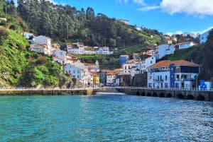 Экскурсия в Кудильеро, Авилес и Фаро-де-Кабо-Пеньяс из Овьедо