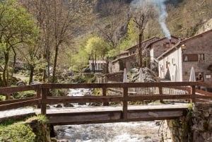 カンガス・デ・オニスから：コバドンガ湖とブルネスへのケーブルカー