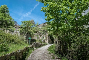 カンガス・デ・オニスから：コバドンガ湖とブルネスへのケーブルカー