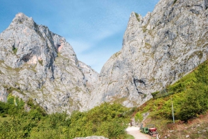 カンガス・デ・オニスから：コバドンガ湖とブルネスへのケーブルカー