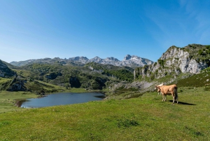カンガス・デ・オニスから：コバドンガ湖とブルネスへのケーブルカー
