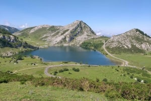 From Cangas de Onis: Lakes of Covadonga Guided Day Trip
